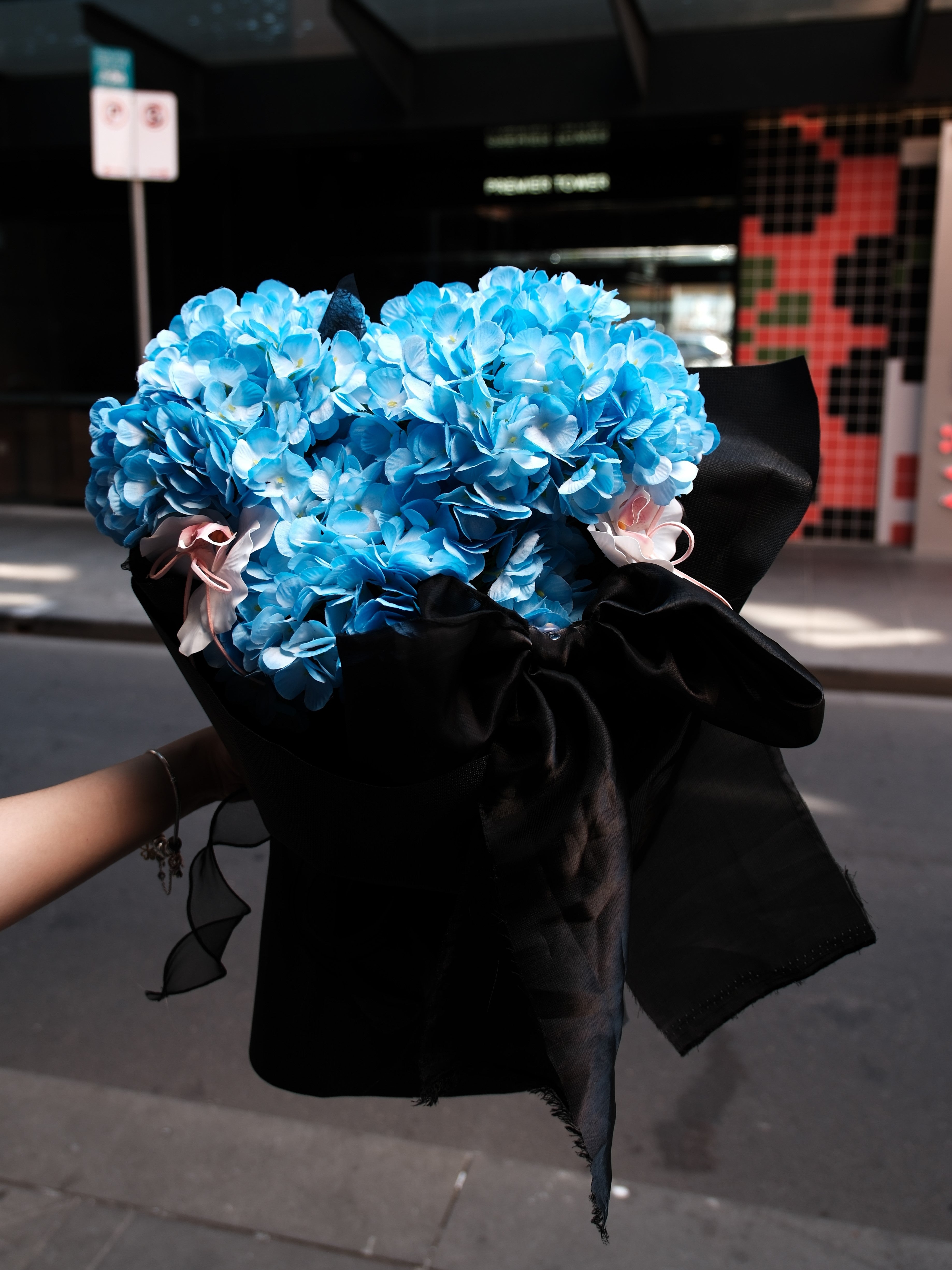 Black Hydrangea & Twisted Tulips Bouquet